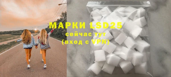 гашик Аркадак