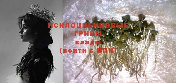 гашик Аркадак