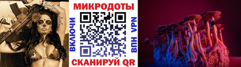 Галлюциногенные грибы мицелий  OMG вход  Тарко-Сале 
